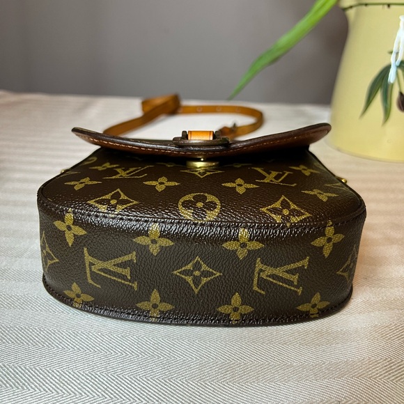 LOUIS VUITTON LV St. Cloud Monogram Crossbody Bag PM - Picture 4 of 13